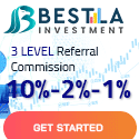 Bestla Investment Limited